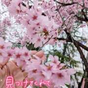 ヒメ日記 2026/04/18 13:50 投稿 木村友希乃 五十路マダム 仙台店