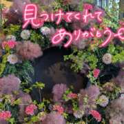 ヒメ日記 2026/07/11 17:54 投稿 木村友希乃 五十路マダム 仙台店