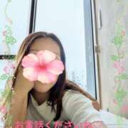 ヒメ日記 2026/09/15 12:38 投稿 木村友希乃 五十路マダム 仙台店