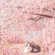 ヒメ日記 2025/03/30 10:16 投稿 文月陽彩 五十路マダムエクスプレス神戸店(カサブランカグループ)