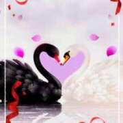 ヒメ日記 2025/03/31 10:18 投稿 文月陽彩 五十路マダムエクスプレス神戸店(カサブランカグループ)