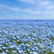 ヒメ日記 2025/04/14 10:46 投稿 文月陽彩 五十路マダムエクスプレス神戸店(カサブランカグループ)