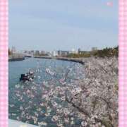 ヒメ日記 2025/04/21 18:42 投稿 文月陽彩 五十路マダムエクスプレス神戸店(カサブランカグループ)