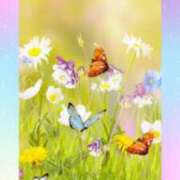 ヒメ日記 2025/04/29 09:14 投稿 文月陽彩 五十路マダムエクスプレス神戸店(カサブランカグループ)