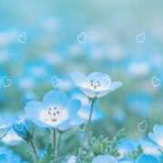 ヒメ日記 2025/05/11 19:44 投稿 文月陽彩 五十路マダムエクスプレス神戸店(カサブランカグループ)