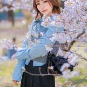 ヒメ日記 2025/04/05 11:08 投稿 なぎさ ムーランルージュ