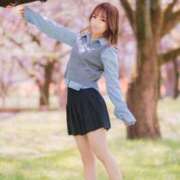 ヒメ日記 2025/04/23 10:01 投稿 なぎさ ムーランルージュ