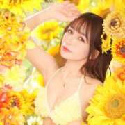 ヒメ日記 2025/07/29 08:33 投稿 なぎさ ムーランルージュ