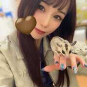 ヒメ日記 2025/11/09 22:40 投稿 なぎさ ムーランルージュ