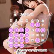 ヒメ日記 2026/01/29 01:48 投稿 なぎさ ムーランルージュ