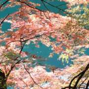 ヒメ日記 2025/11/21 20:08 投稿 まや(昭和47年生まれ) 熟年カップル名古屋～生電話からの営み～