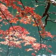 ヒメ日記 2025/12/01 15:21 投稿 まや(昭和47年生まれ) 熟年カップル名古屋～生電話からの営み～