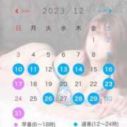 ヒメ日記 2023/12/05 14:19 投稿 あいな 東京妻next (京都グループ)