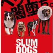 ヒメ日記 2025/06/11 15:16 投稿 あいな 東京妻next (京都グループ)