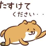 ヒメ日記 2025/09/22 21:32 投稿 あいな 東京妻next (京都グループ)