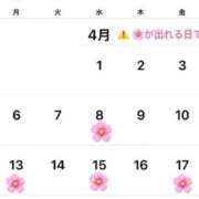 ヒメ日記 2026/04/01 12:36 投稿 あいな 東京妻next