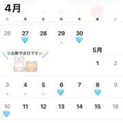 ヒメ日記 2026/04/24 13:46 投稿 あいな 東京妻next