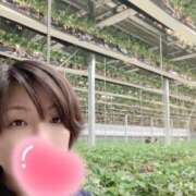 ヒメ日記 2025/03/11 23:19 投稿 高杉しのぶ プレジデントクラブ