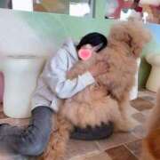 ヒメ日記 2025/04/17 22:36 投稿 高杉しのぶ プレジデントクラブ