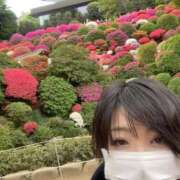 ヒメ日記 2025/04/23 01:22 投稿 高杉しのぶ プレジデントクラブ