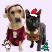 ヒメ日記 2025/12/26 01:42 投稿 高杉しのぶ プレジデントクラブ