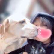 高杉しのぶ もこもこパーカー♪ プレジデントクラブ