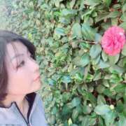 ヒメ日記 2026/03/05 18:19 投稿 高杉しのぶ プレジデントクラブ