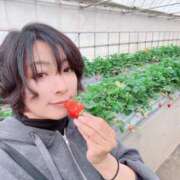 ヒメ日記 2026/03/09 01:08 投稿 高杉しのぶ プレジデントクラブ