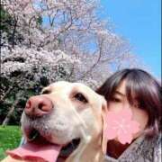 ヒメ日記 2026/03/30 19:25 投稿 高杉しのぶ プレジデントクラブ