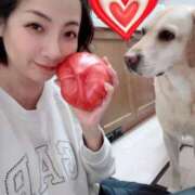 ヒメ日記 2026/04/09 05:29 投稿 高杉しのぶ プレジデントクラブ