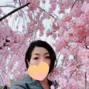 ヒメ日記 2026/04/19 10:38 投稿 高杉しのぶ プレジデントクラブ