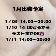 ヒメ日記 2025/01/02 16:12 投稿 チョコ 奴隷コレクション