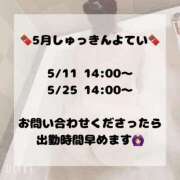 ヒメ日記 2025/05/04 11:51 投稿 チョコ 奴隷コレクション