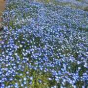 ヒメ日記 2025/05/08 20:45 投稿 チョコ 奴隷コレクション