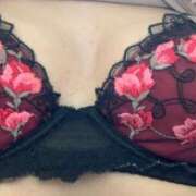 ヒメ日記 2025/03/01 12:57 投稿 るりか 小岩人妻花壇