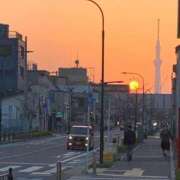 ヒメ日記 2025/03/25 17:52 投稿 るりか 小岩人妻花壇