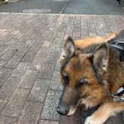 ヒメ日記 2025/05/16 19:01 投稿 るりか 小岩人妻花壇