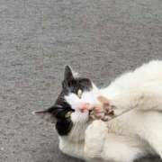 ヒメ日記 2025/06/02 18:12 投稿 るりか 小岩人妻花壇