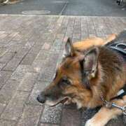 ヒメ日記 2025/06/14 19:26 投稿 るりか 小岩人妻花壇