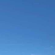 ヒメ日記 2025/07/20 13:35 投稿 るりか 小岩人妻花壇