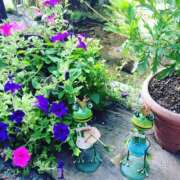 ヒメ日記 2025/07/02 14:21 投稿 かよ 渋谷 風俗 奥様発情の会