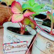 ヒメ日記 2025/08/15 11:26 投稿 かよ 渋谷 風俗 奥様発情の会