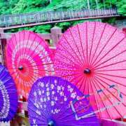 ヒメ日記 2025/08/23 12:29 投稿 かよ 渋谷 風俗 奥様発情の会