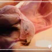 ヒメ日記 2026/01/13 22:48 投稿 かよ 渋谷 風俗 奥様発情の会