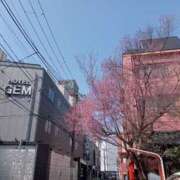 ヒメ日記 2025/03/27 15:39 投稿 きんぎょ 熟女の風俗最終章 仙台店