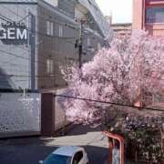 ヒメ日記 2025/04/04 14:14 投稿 きんぎょ 熟女の風俗最終章 仙台店