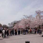 ヒメ日記 2025/04/10 13:54 投稿 きんぎょ 熟女の風俗最終章 仙台店