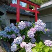 ヒメ日記 2025/06/20 12:04 投稿 きんぎょ 熟女の風俗最終章 仙台店