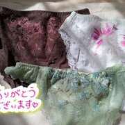 ヒメ日記 2025/10/25 11:04 投稿 きんぎょ 熟女の風俗最終章 仙台店