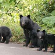 ヒメ日記 2025/11/08 14:09 投稿 きんぎょ 熟女の風俗最終章 仙台店